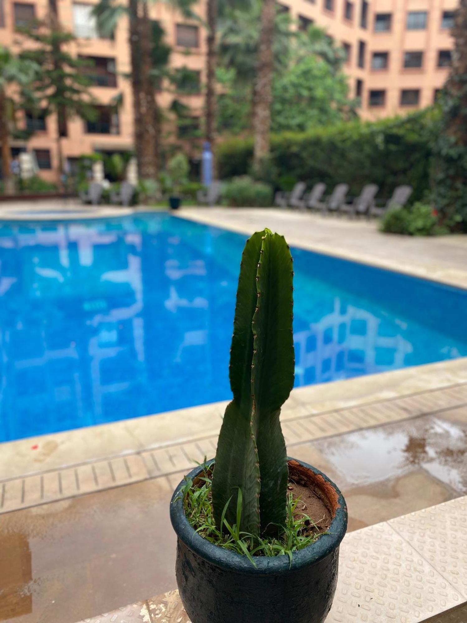 מרקש Residence Caprice Palace Hivernage מראה חיצוני תמונה