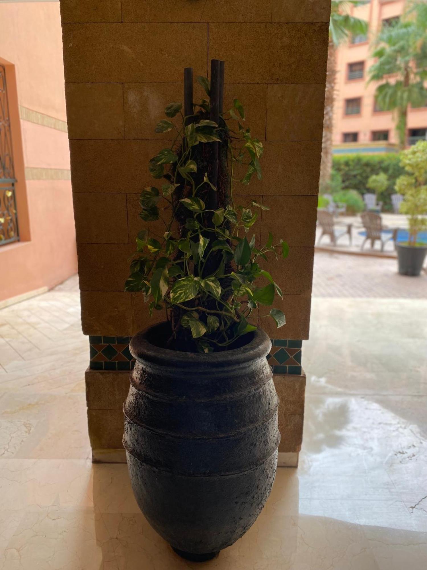 מרקש Residence Caprice Palace Hivernage מראה חיצוני תמונה
